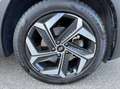 Hyundai TUCSON 1.6 crdi 48V Exellence 2wd dct Gris - thumbnail 13
