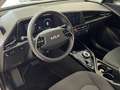 Kia Niro e-Niro*Edition-7*ACC*CarPlay*WinterP.*Cam* Weiß - thumbnail 10