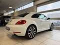 Volkswagen Beetle 2.0 DSG Bianco - thumbnail 6