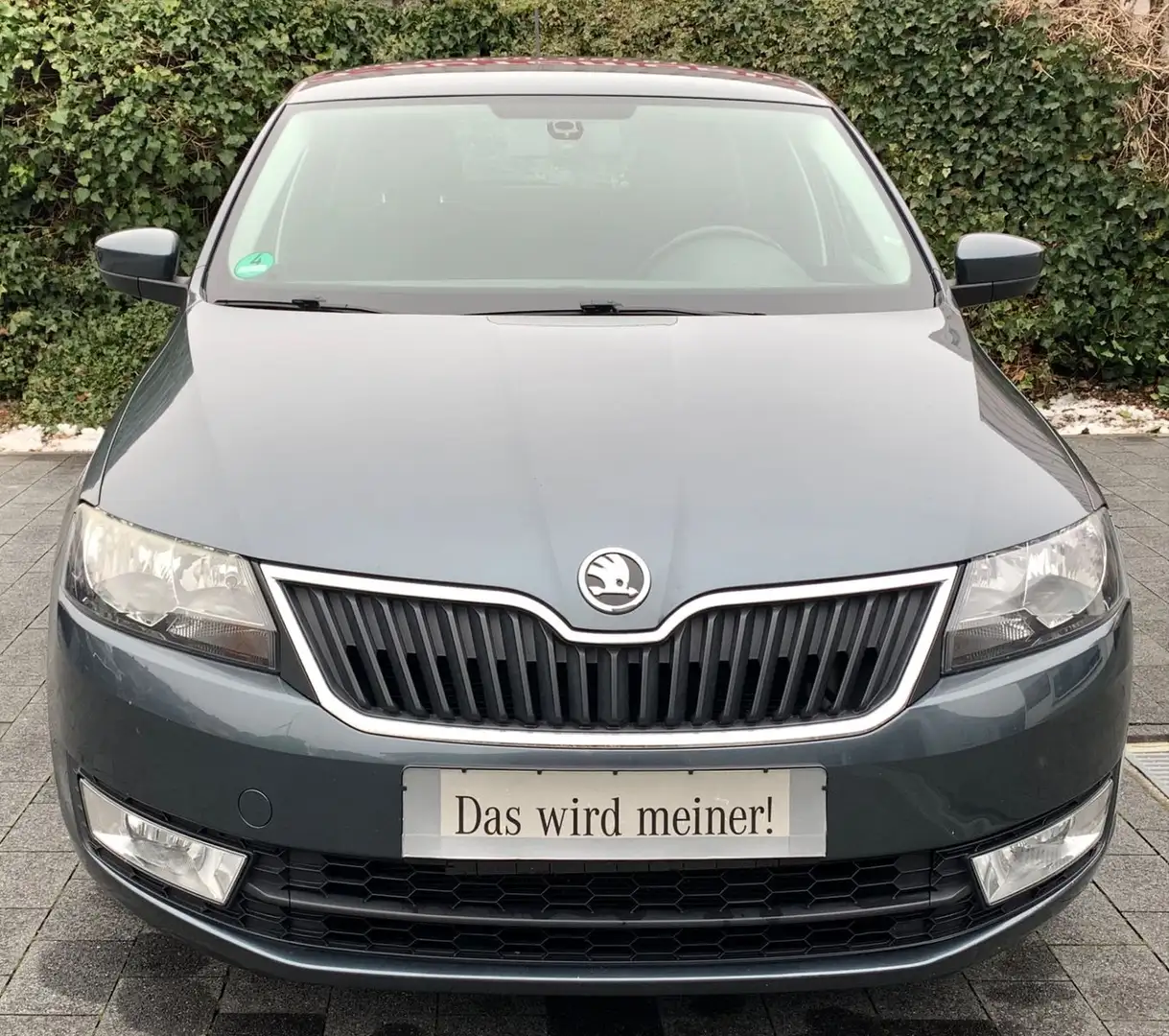 Skoda Rapid/Spaceback Spaceback Ambition Серый - 2