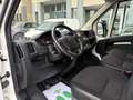 Fiat Ducato CITROENJumper2021BlueHDi140SPM-TM Furgone Business Blanc - thumbnail 13