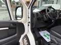 Fiat Ducato CITROENJumper2021BlueHDi140SPM-TM Furgone Business Blanc - thumbnail 12