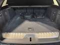 BMW 530 e xDrive Schwarz - thumbnail 12