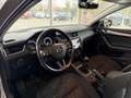 Skoda Octavia Combi Clever 1.0 TSI GRA SHZG KLIMA PDC Klima Beige - thumbnail 10