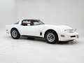 Corvette C3 '82 CH3670 Blanc - thumbnail 3
