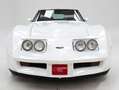 Corvette C3 '82 CH3670 Blanc - thumbnail 9
