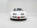 Corvette C3 '82 CH3670 Blanc - thumbnail 5