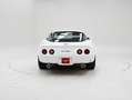 Corvette C3 '82 CH3670 Blanc - thumbnail 8