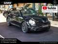 Volkswagen Beetle Beetle Cabrio 1.2 TSI Rückfahrkamera DSG CarPlay Schwarz - thumbnail 1