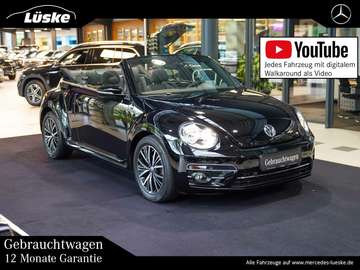 Beetle Cabrio 1.2 TSI Rückfahrkamera DSG CarPlay