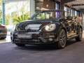 Volkswagen Beetle Beetle Cabrio 1.2 TSI Rückfahrkamera DSG CarPlay Schwarz - thumbnail 8