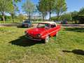 Amphicar 770 770 undefined Rot - thumbnail 16
