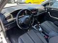 Volkswagen T-Roc 1.6 tdi Style Bianco - thumbnail 10