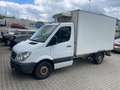 Mercedes-Benz Sprinter 313 CDI 906.131 Kühlwagen 1 Hand Tüv 08/26 Weiß - thumbnail 2
