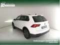 Volkswagen Tiguan 2.0 tdi life 150cv dsg Wit - thumbnail 16