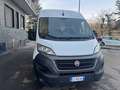 Fiat Ducato tetto alto passo medio 2021 euro 6d tenp Bianco - thumbnail 3