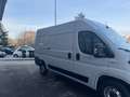 Fiat Ducato tetto alto passo medio 2021 euro 6d tenp Bianco - thumbnail 6