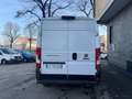 Fiat Ducato tetto alto passo medio 2021 euro 6d tenp Bianco - thumbnail 8
