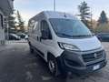 Fiat Ducato tetto alto passo medio 2021 euro 6d tenp Bianco - thumbnail 4