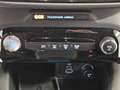 Ford Kuga 2.5 Full Hybrid 180 CV CVT 2WD ST-Line Schwarz - thumbnail 13
