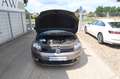 Volkswagen Golf Plus VI Match|1.Hand|S.Heft| Braun - thumbnail 2
