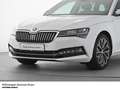 Skoda Superb Combi L&K 4x4 TSI DSG Pano*Stdhzg*LED*Columbus*DCC Weiß - thumbnail 6