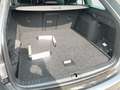 Skoda Octavia Sportline TDI DSG Grau - thumbnail 17