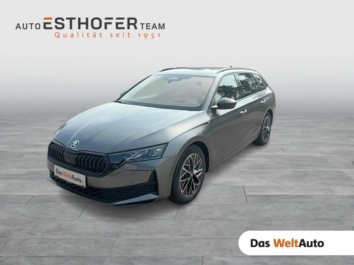 Skoda Octavia Sportline TDI DSG Grau - 1