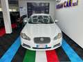 Jaguar XF Blanc - thumbnail 2