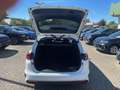 Kia Ceed SW / cee'd SW 1.5T-GDI DCT Vision Kamera Navi LED-SW Bianco - thumbnail 6