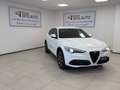 Alfa Romeo Stelvio Stelvio 2.2 Turbodiesel 190 CV AT8 Q4 Sprint Bianco - thumbnail 3