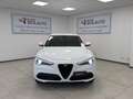 Alfa Romeo Stelvio Stelvio 2.2 Turbodiesel 190 CV AT8 Q4 Sprint Bianco - thumbnail 1