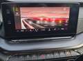 Skoda Octavia Combi 2.0 TDI 4x4 RS+ LM19 AHK eSITZE ST Grau - thumbnail 16
