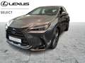 Lexus NX 450h+ Privilege Line siva - thumbnail 1