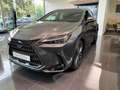 Lexus NX 450h+ Privilege Line siva - thumbnail 7