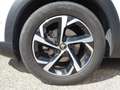 Citroen C5 Aircross BlueHDI 180 Shine EAT8, AHV, Glasdach Weiß - thumbnail 5