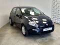 Fiat Punto 5 Porte 1.2  Street Bleu - thumbnail 3