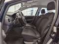 Fiat Punto 5 Porte 1.2  Street Bleu - thumbnail 17