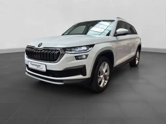 Skoda Kodiaq view 2