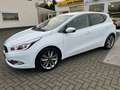 Kia Ceed / cee'd 1.6 GDI BUSINESS, veel options, uitstekende staat! Wit - thumbnail 3