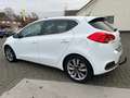 Kia Ceed / cee'd 1.6 GDI BUSINESS, veel options, uitstekende staat! Wit - thumbnail 4