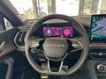Skoda Kodiaq 2.0 TSI 4x4 Sportline Canton - 360Grad - AHK - LED Grau - thumbnail 17