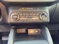Ford Kuga 2.5 Duratec PHEV Titanium X *ACC*LED*Navi Gris - thumbnail 24