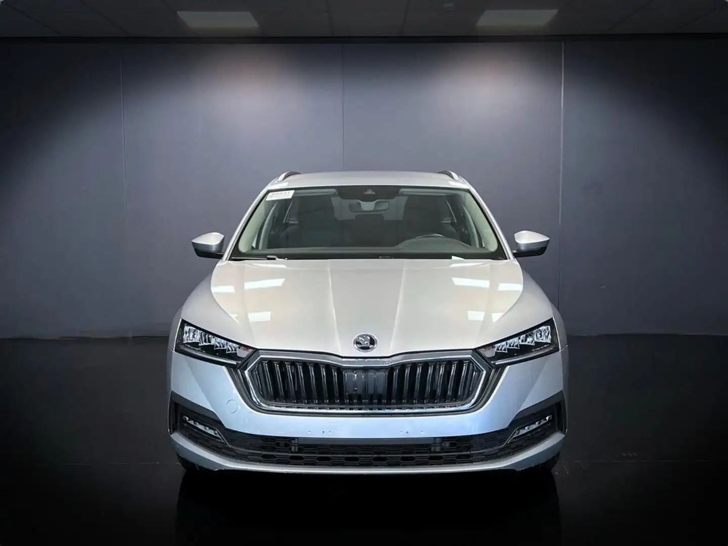 Skoda Octavia 2.0 TDI EVO SCR Wagon Executive Zilver - 2