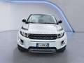 Land Rover Range Rover Evoque 2.2 TD4 150 CV Pure Tech Weiß - thumbnail 3