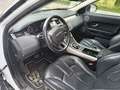 Land Rover Range Rover Evoque 2.2 TD4 150 CV Pure Tech Weiß - thumbnail 9