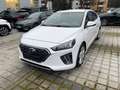 Hyundai IONIQ 1.6 GDI Style 2xKlima ACC AUT DynLicht LED Weiß - thumbnail 4