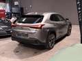 Lexus UX 250h UX Hybrid 4WD Luxury Grau - thumbnail 4