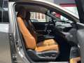 Lexus UX 250h UX Hybrid 4WD Luxury Grau - thumbnail 12