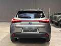 Lexus UX 250h UX Hybrid 4WD Luxury Grau - thumbnail 5